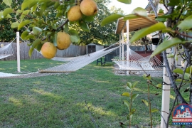 home-for-sale-round-rock-fruit-tree